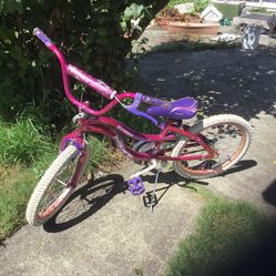 20” Girls Bike