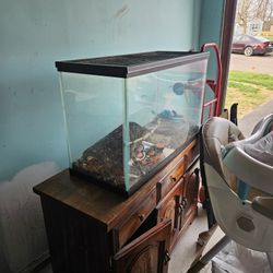 3, 5, 10 & 2 Gallon Tanks Read Description