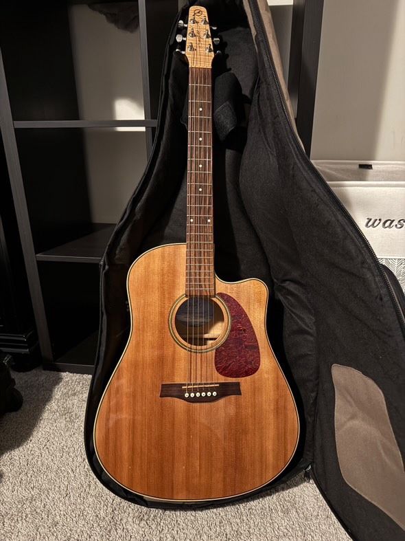 Seagull Guitar