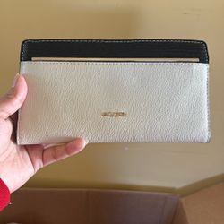 Aldo Wallet 