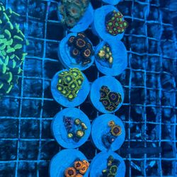 Fake Aquarium Saltwater Reef Fish Tank Decorations 