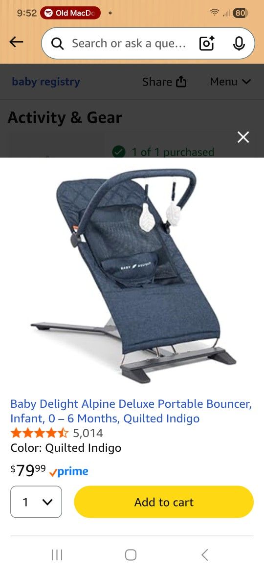 Alpine Baby Bouncer 