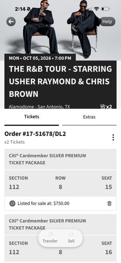 Chris Brown and Usher concert