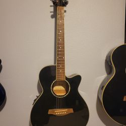 Ibanez Acoustic Guitar 