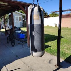 Action Punching Bag 
