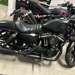 2021 Harley Davidson Iron 883 For Sale 