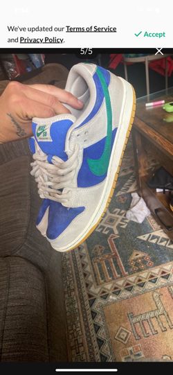 Nike Sb Shoes