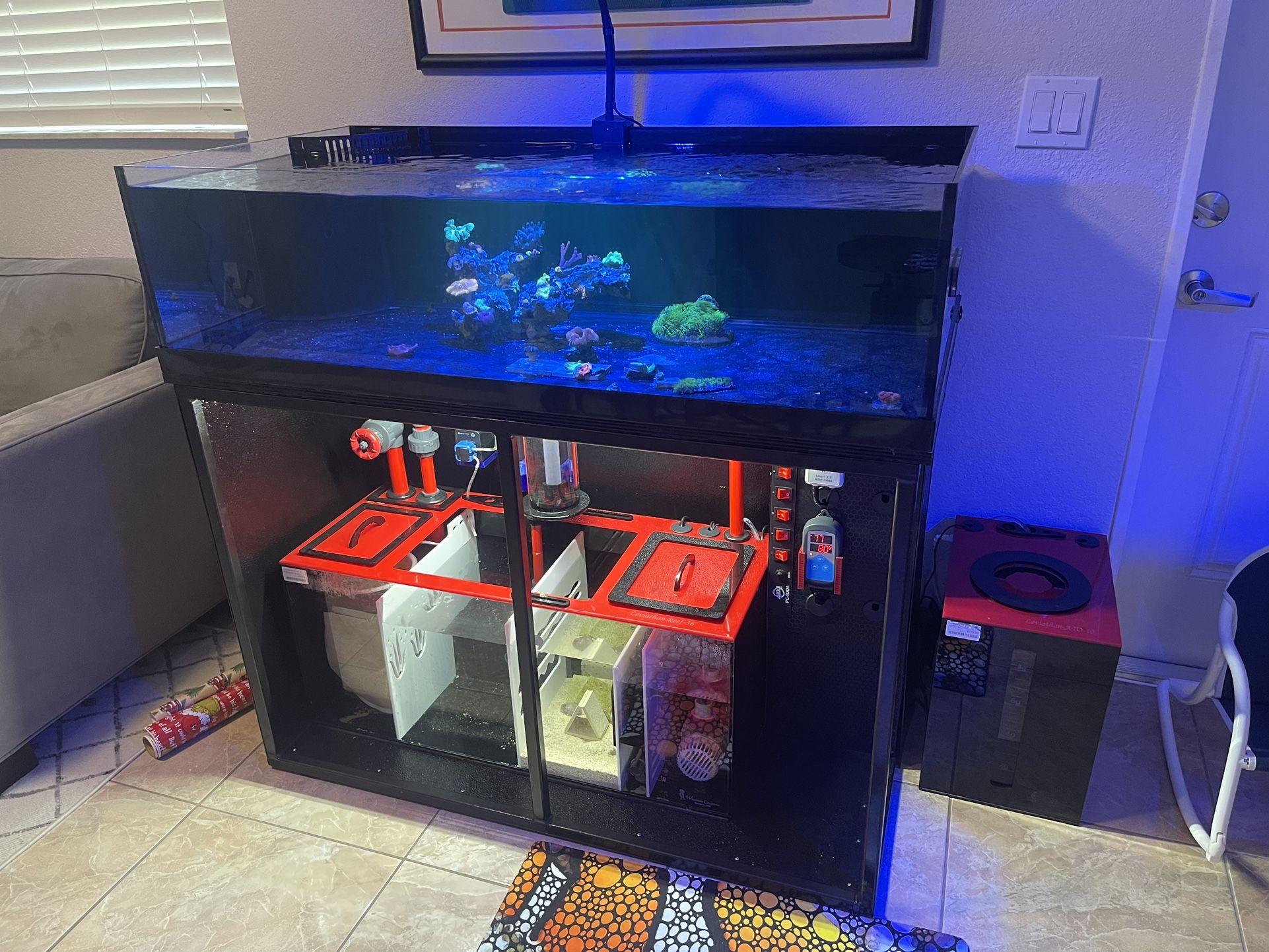 60 Gallon Rimless Aquarium Reef Tank