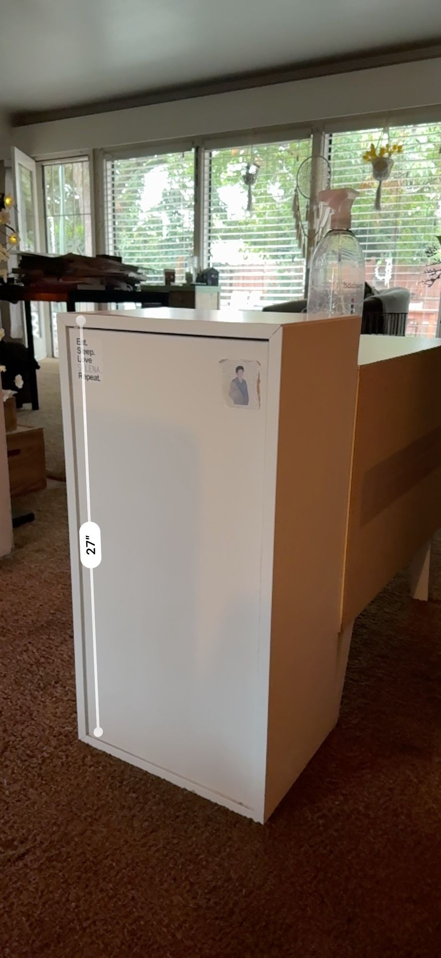 Small Shelf With Door