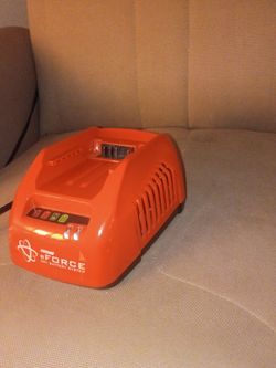 ECHO e FORCE  56v battery charger.perfect condition .