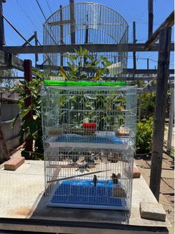 Cages $30