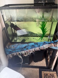 40 gallon aquarium with stand