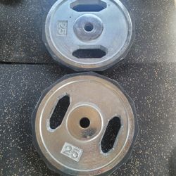 chrome 25lbs weights