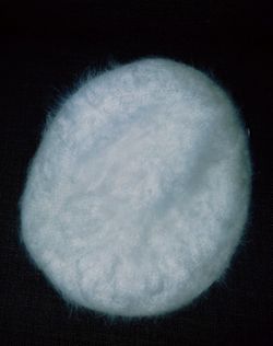 Vintage Creme Angora Beret