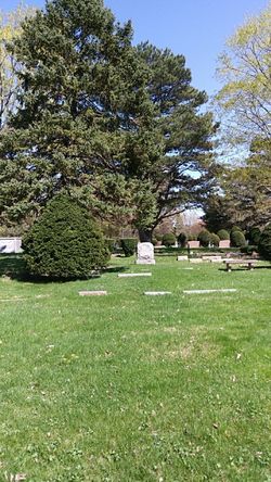 Memorial park cemetary plots