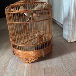 Decor, Birdcage