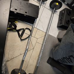 MX80 Fixed Straight Bar And Curl Bar Gym Equipment Exercise Fitness Weights