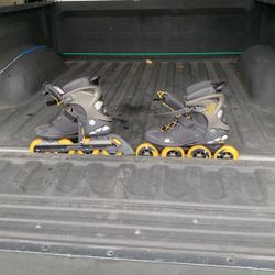Roller Blades 