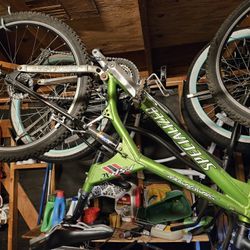 Specialized Stumpjumper Bike