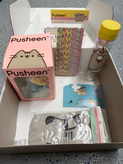 Pusheen box with figurine straws and pool drink holder