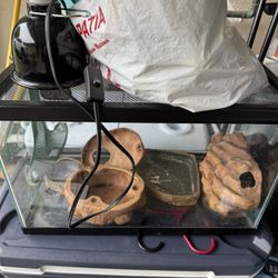Reptile Tank 