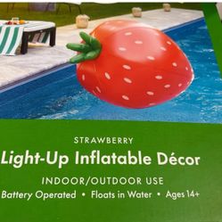 Kate Spade New York Target Strawberry Light Up Inflatable Pool Float Decor NEW
