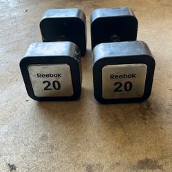 20 Lb Rubber Reebok Dumbbells 