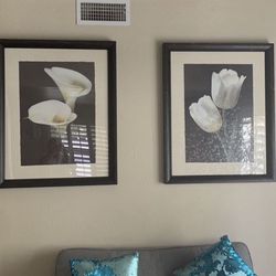 Picture Frames 
