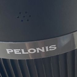 Fan Pelonis Lots Of Speed