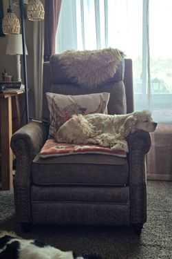 RECLINER