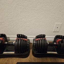 Bowflex Adjustable Dumbbell Set