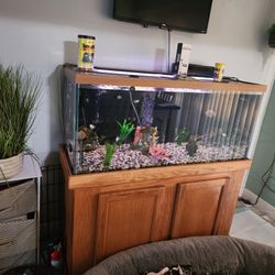 80 Gallon Fishtank With Stand And Accessories 
