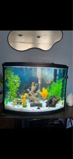 36 Gallon Fish Tank and Desk