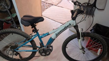 Mountain Bike - 24"