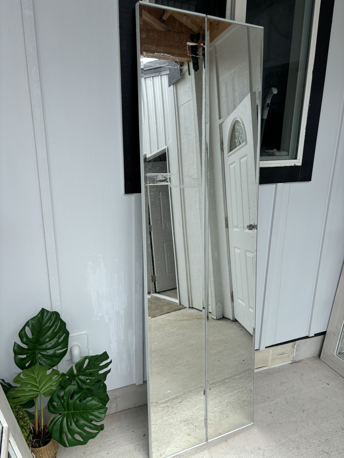 Mirror Closet Door