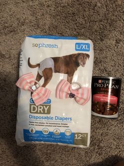 Doggy supplies