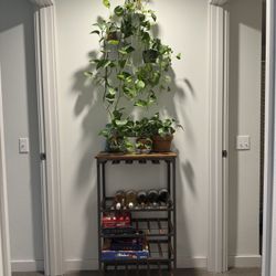 World Market Wine Rack