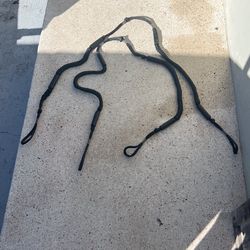 Docking Lines Elastic 