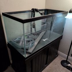 120g Aquarium tank with stand and fluval fx6