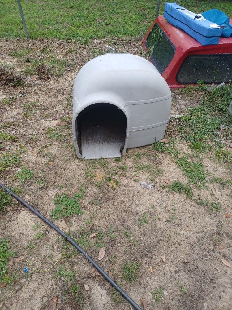 Igloo Dog House