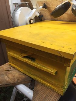 Bee hive
