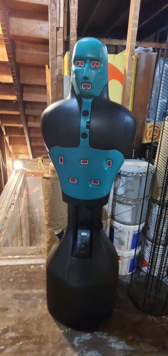 punching dummy electrics a little finicky 