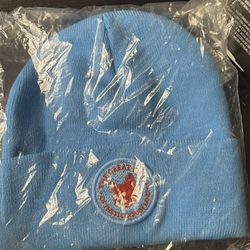 Light blue camp flog gnaw beanie 