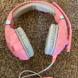 Pink Headphones 