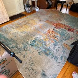 Nourison Area Rug