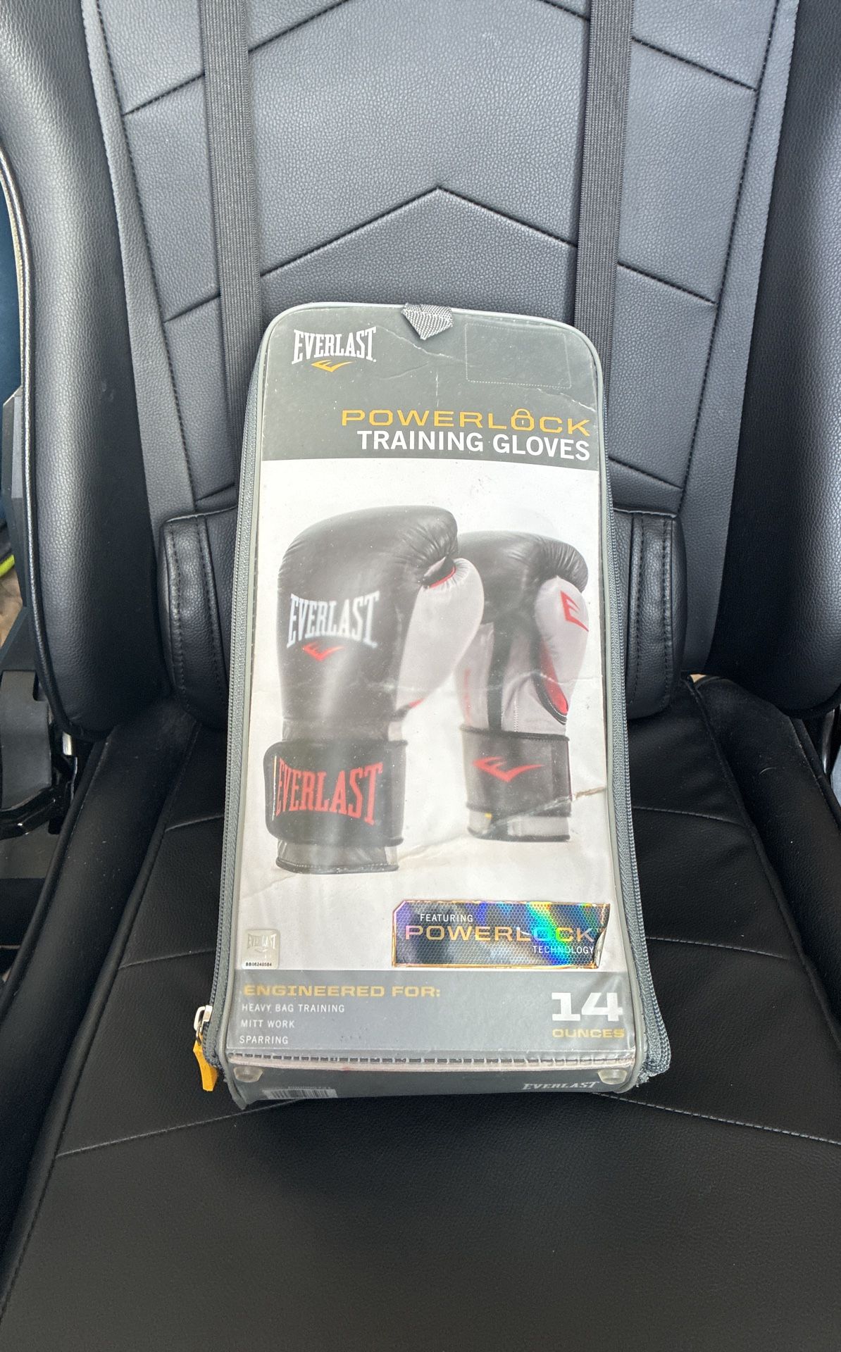 Everlast Boxing Gloves