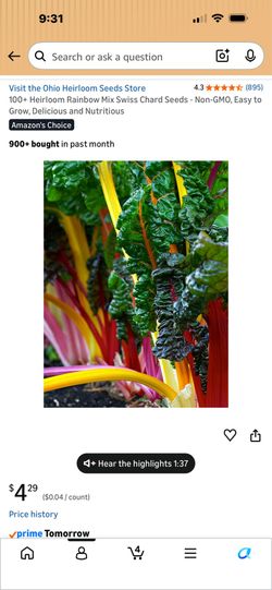 100 seeds rainbow mix, Swiss chard garden