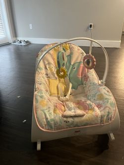 Baby Bouncer