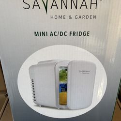 Mini Fridge 