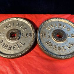 Two 12.5 Lb Steel Weight Plates 